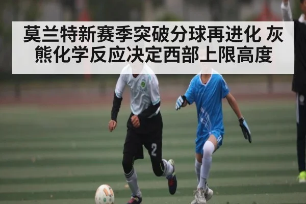 莫兰特新赛季突破分球再进化 灰熊化学反应决定西部上限高度